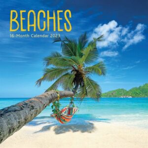 Beaches Mini Calendar 2023