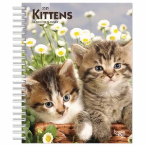 Kittens A5 Diary 2023