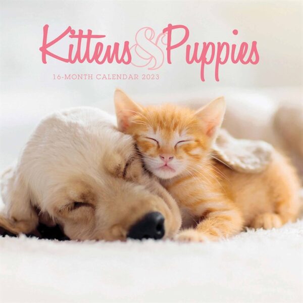 Kittens & Puppies Mini Calendar 2023