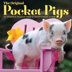 Pocket Pigs Of Pennywell Farm Calendar 2023