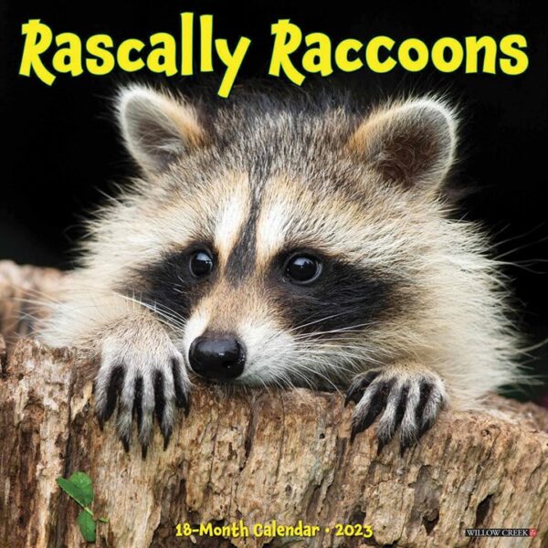 Rascally Raccoons Calendar 2023