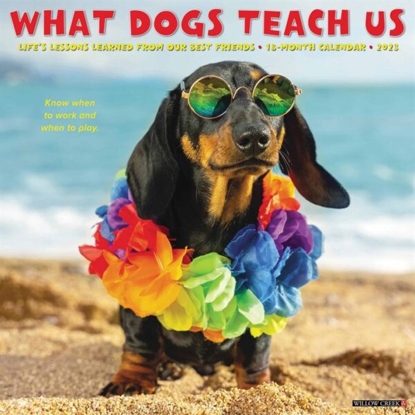 What Dogs Teach Us Calendar 2023