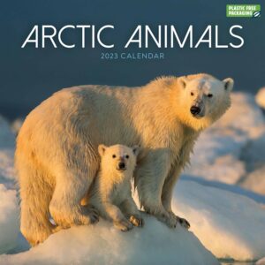 Arctic Animals Calendar 2023
