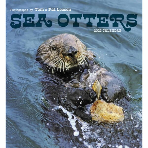 Sea Otters Calendar 2023