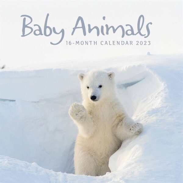 Baby Animals Mini Calendar 2023