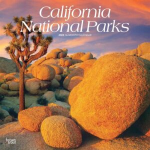California National Parks Calendar 2023