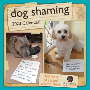 Dog Shaming Mini Calendar 2023
