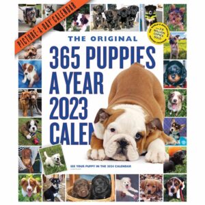 365 Puppies A Year Deluxe Calendar 2023