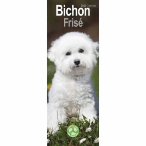 Bichon Frisé Slim Calendar 2023