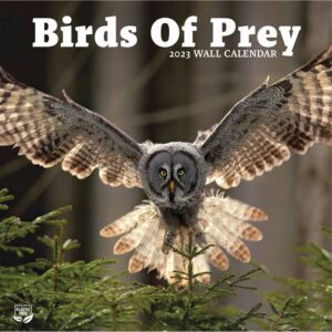 Birds of Prey Calendar 2023