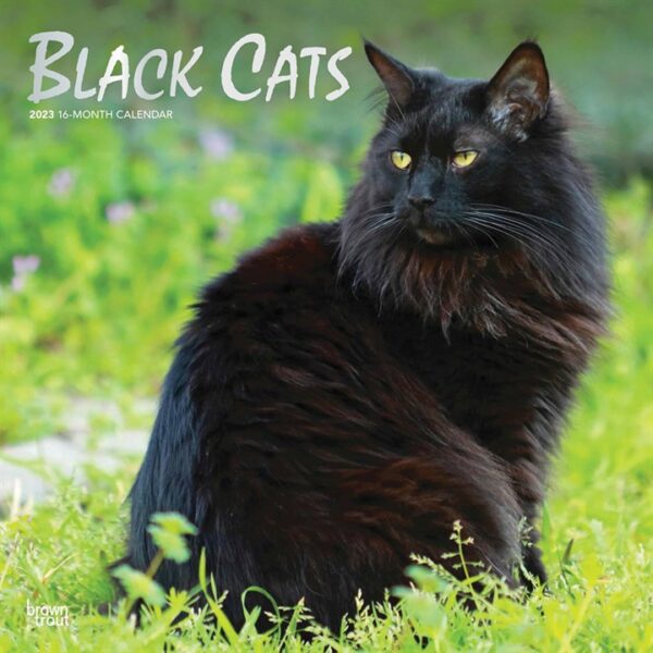 Black Cats Calendar 2023