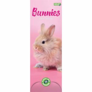 Bunnies Slim Calendar 2023