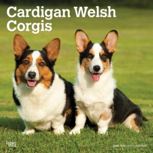 Cardigan Welsh Corgis Calendar 2023
