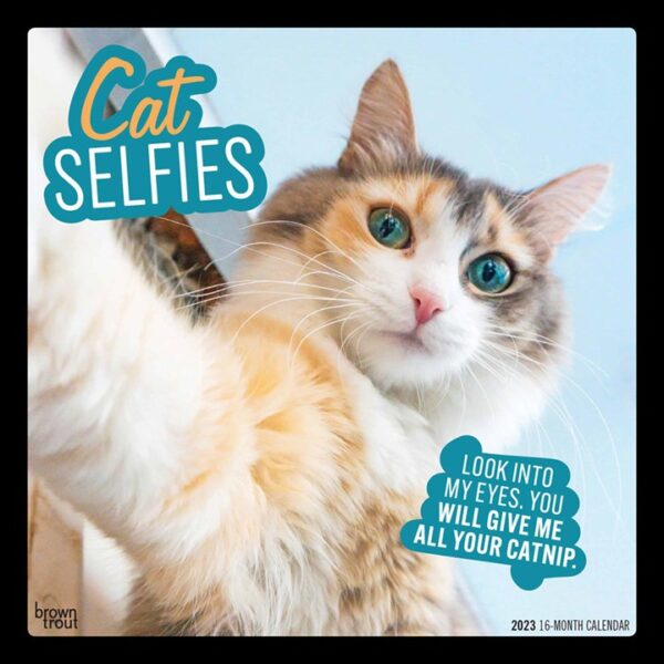 Cat Selfies Calendar 2023