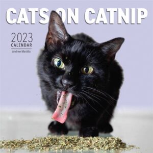 Cats On Catnip Calendar 2023