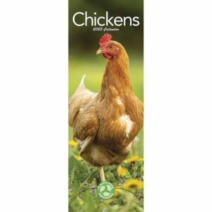 Chickens Slim Calendar 2023