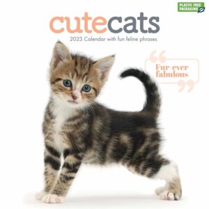 Cute Cats Calendar 2023