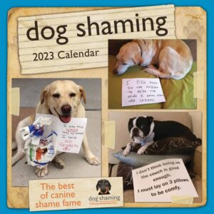 Dog Shaming Calendar 2023