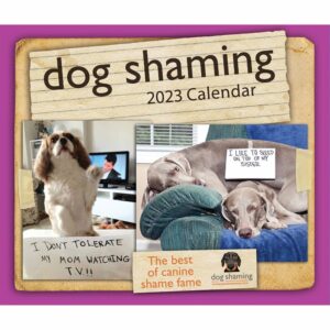 Dog Shaming Desk Calendar 2023