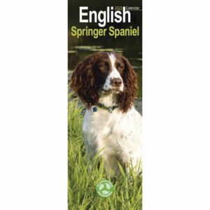English Springer Spaniel Slim Calendar 2023
