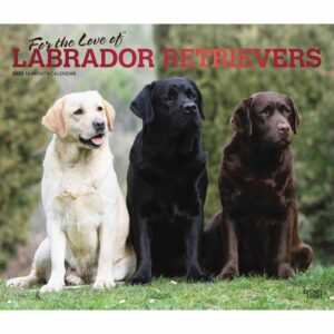 For The Love Of Labrador Retrievers Deluxe Calendar 2023