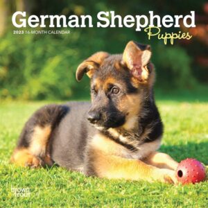 German Shepherd Puppies Mini Calendar 2023