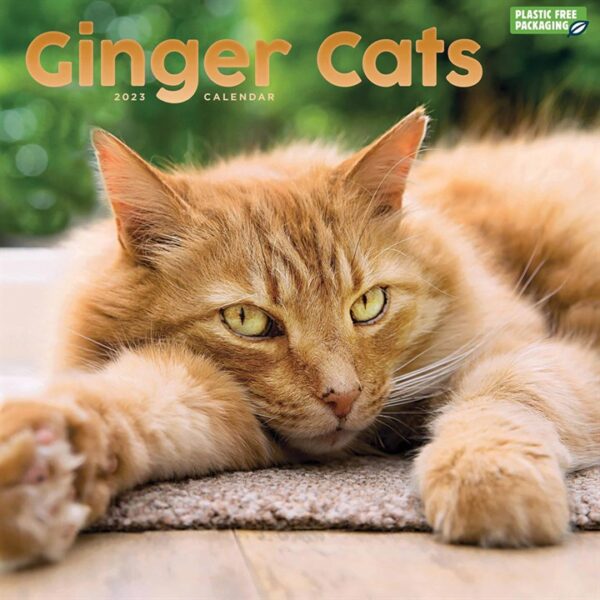 Ginger Cats Calendar 2023