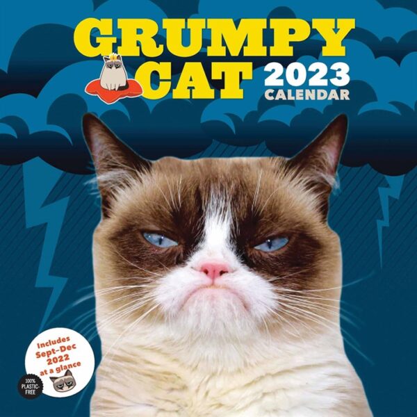 Grumpy Cat Calendar 2023