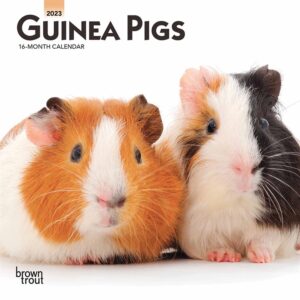 Guinea Pigs Mini Calendar 2023