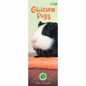 Guinea Pigs Slim Calendar 2023