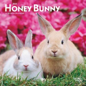 Honey Bunny Mini Calendar 2023