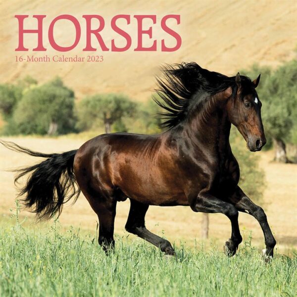 Horses Mini Calendar 2023