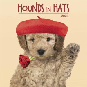 Hounds In Hats Calendar 2023