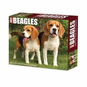 Just Beagles Desk Calendar 2023