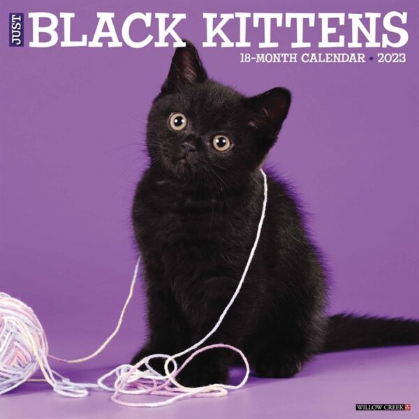 Just Black Kittens Calendar 2023