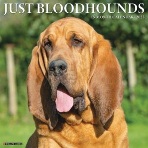 Just Bloodhounds Calendar 2023