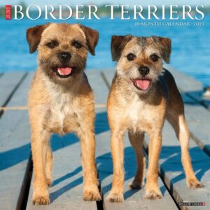 Just Border Terriers Calendar 2023