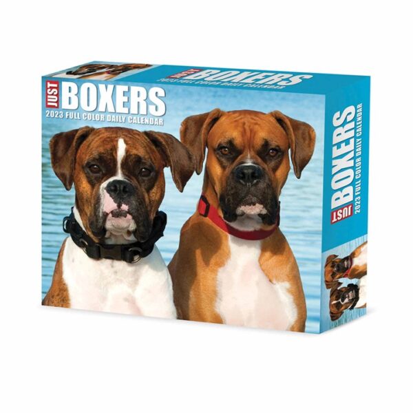 Just Boxers Desk Calendar 2023