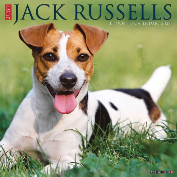 Just Jack Russells Calendar 2023