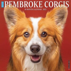 Just Pembroke Welsh Corgis Calendar 2023