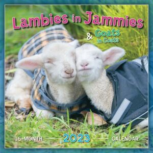 Lambies In Jammies Calendar 2023
