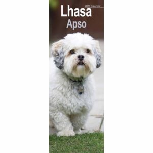 Lhasa Apso Slim Calendar 2023