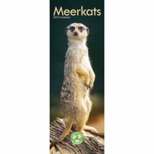 Meerkats Slim Calendar 2023