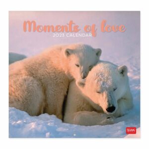 Moments Of Love Calendar 2023