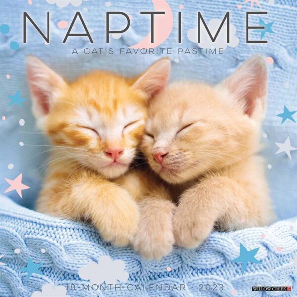 Naptime Cats Calendar 2023