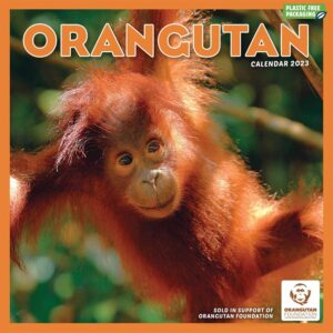Orangutan Calendar 2023