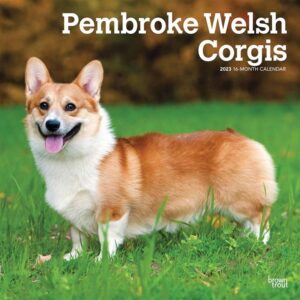 Pembroke Welsh Corgis Calendar 2023