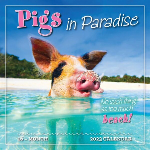 Pigs In Paradise Calendar 2023