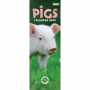 Pigs Slim Calendar 2023