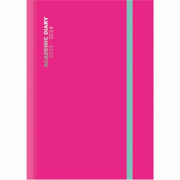 Pink Vibrant Academic Day To View A5 Diary 2024